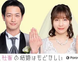 部长和社畜的结婚令人着急番外