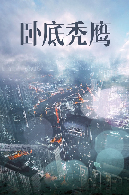 赤裸秃鹰