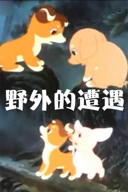 野外的偶遇