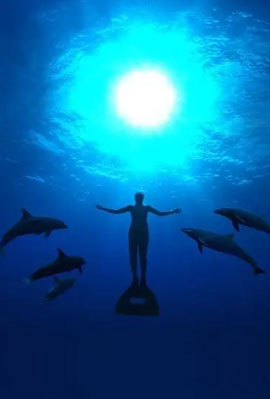 命运石之门0 日语版