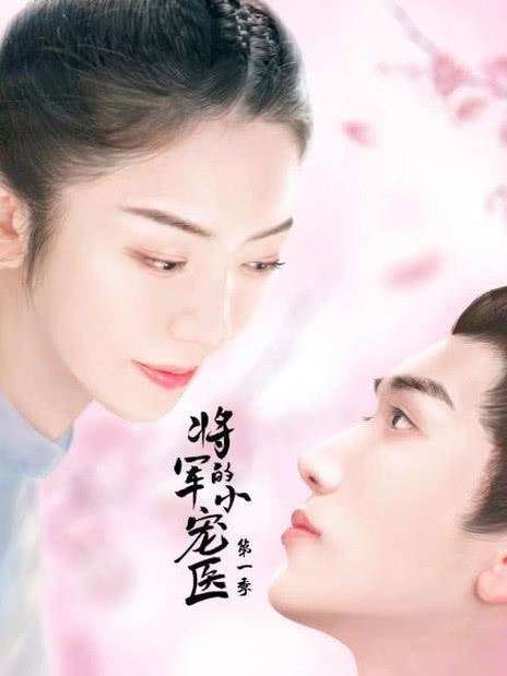 将军的小宠医 第三季