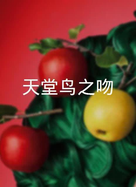 天堂鸟之吻