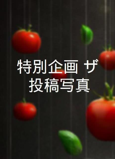 投稿写真