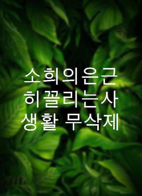 소희의은근히꼴리는사생활