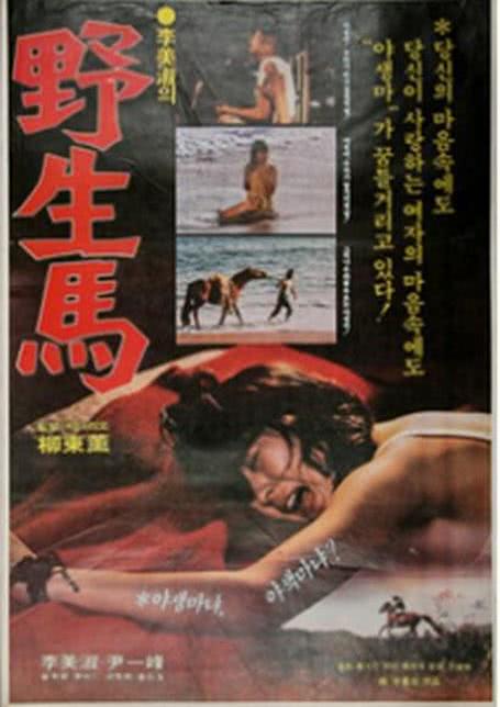 野生马