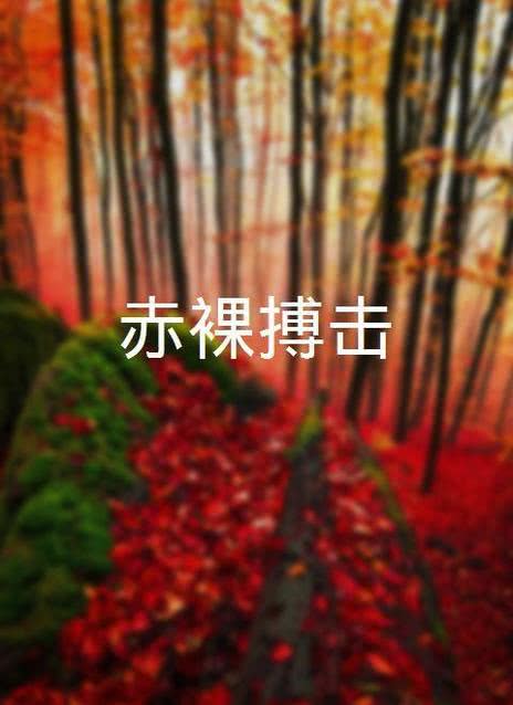 赤裸搏击