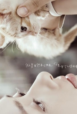 哥哥的女人美版
