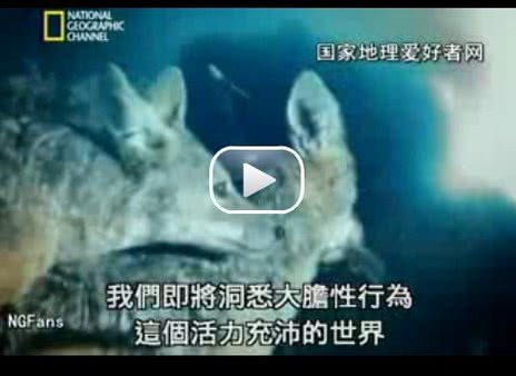 情欲世界