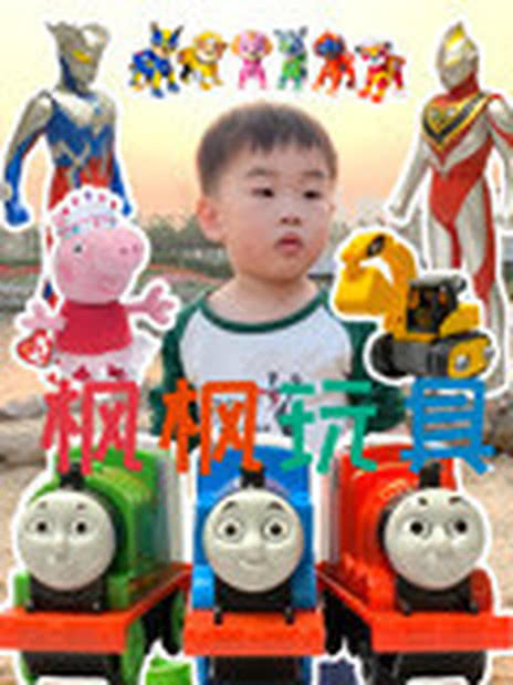 枫枫玩具