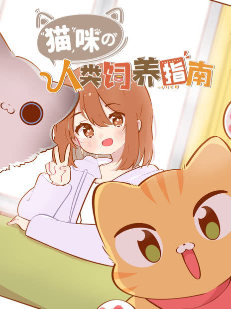 猫咪的人类饲养指南