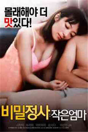 秘密订单：小妈妈