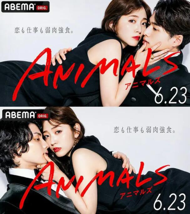 ANIMALS‐アニマルズ