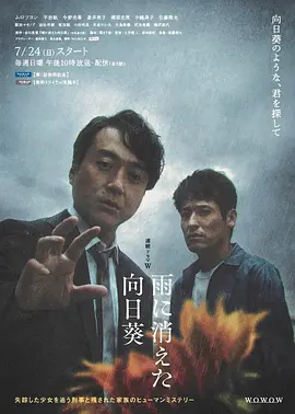 雨中消失的向日葵2022