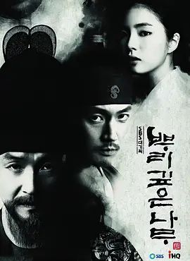 树大根深2011